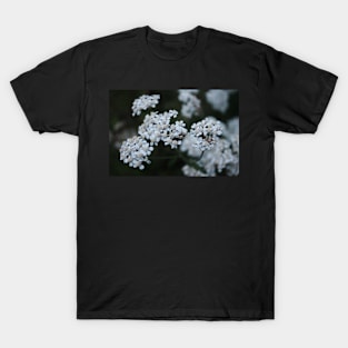 The Winter War T-Shirt